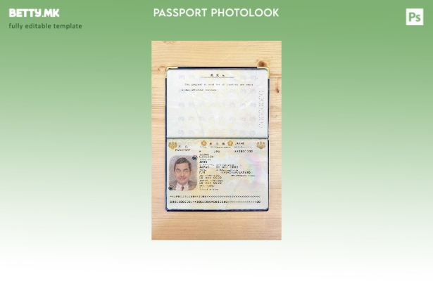 Модерен стил Шаблон за изглед на фотографија од Јапонија помине